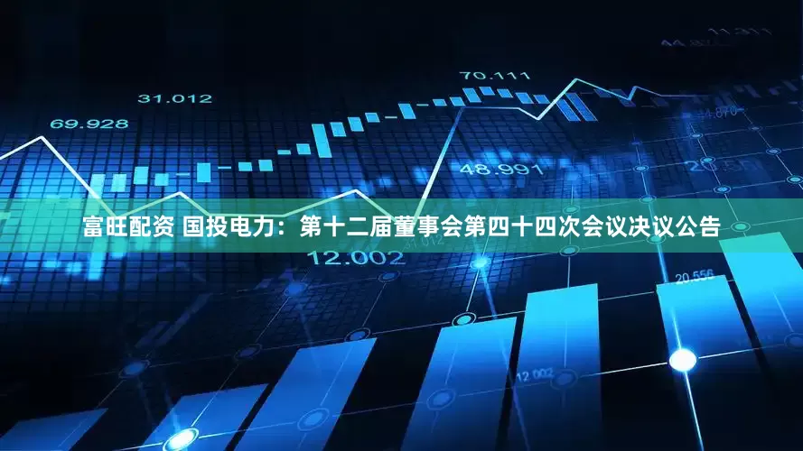 富旺配资 国投电力：第十二届董事会第四十四次会议决议公告