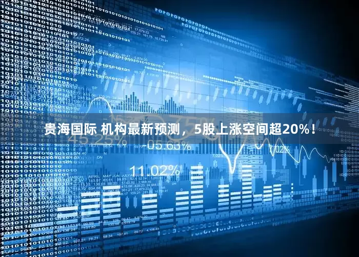 贵海国际 机构最新预测，5股上涨空间超20%！