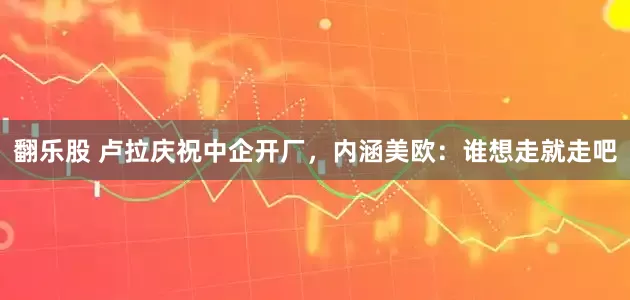 翻乐股 卢拉庆祝中企开厂，内涵美欧：谁想走就走吧