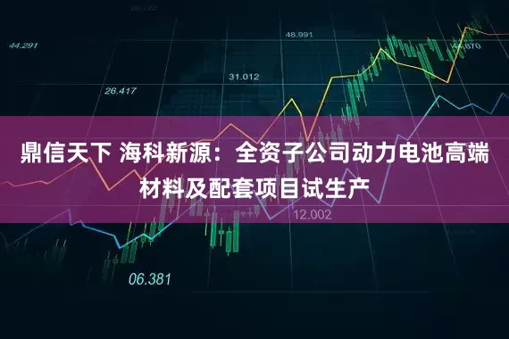 鼎信天下 海科新源：全资子公司动力电池高端材料及配套项目试生产